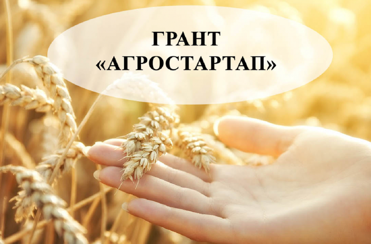 Объявлен конкурсный отбор среди крестьянских (фермерских) хозяйств и (или)  граждан для предоставления в 2025 году грантов «Агростартап».