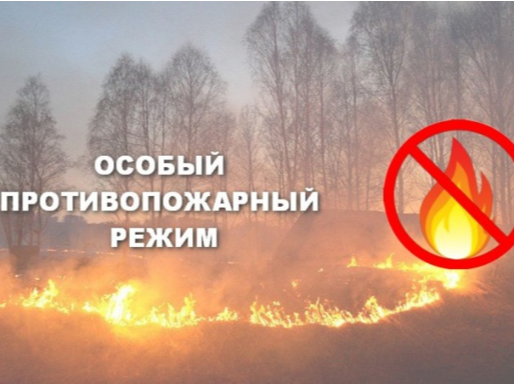 Введен особый противопожарный режим.
