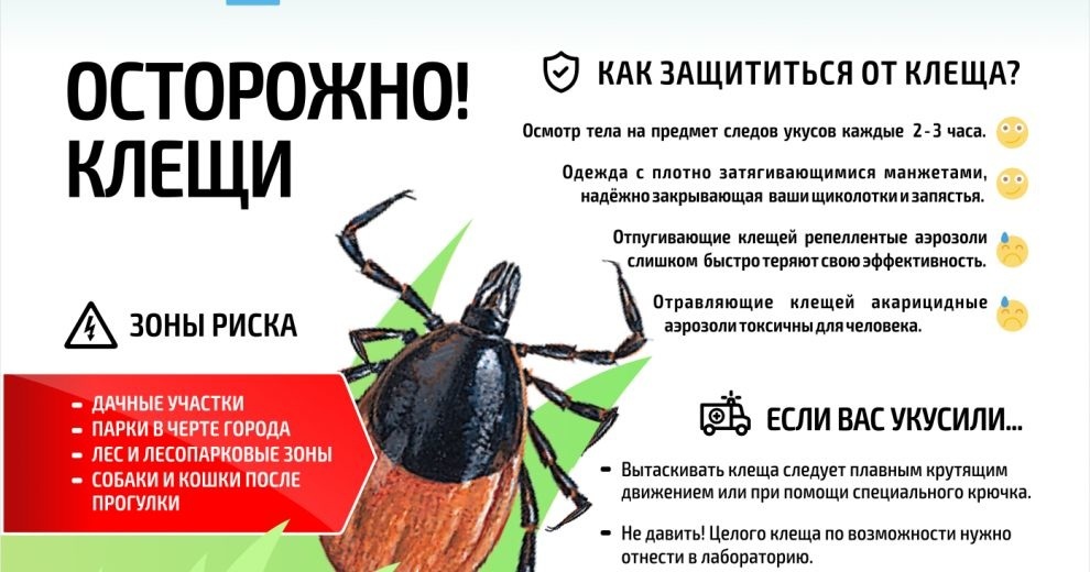 Профилактика клещевого энцефалита.