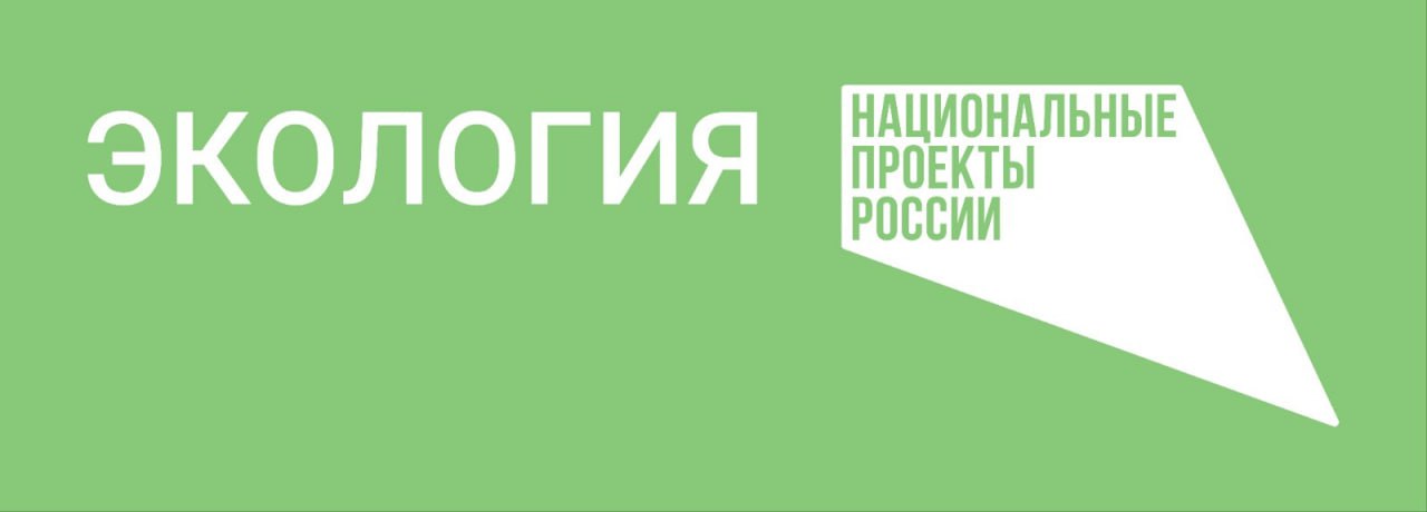 В России стартовал пятый сезон масштабной акции по сбору макулатуры «БумБатл» Движения «Экосистема».