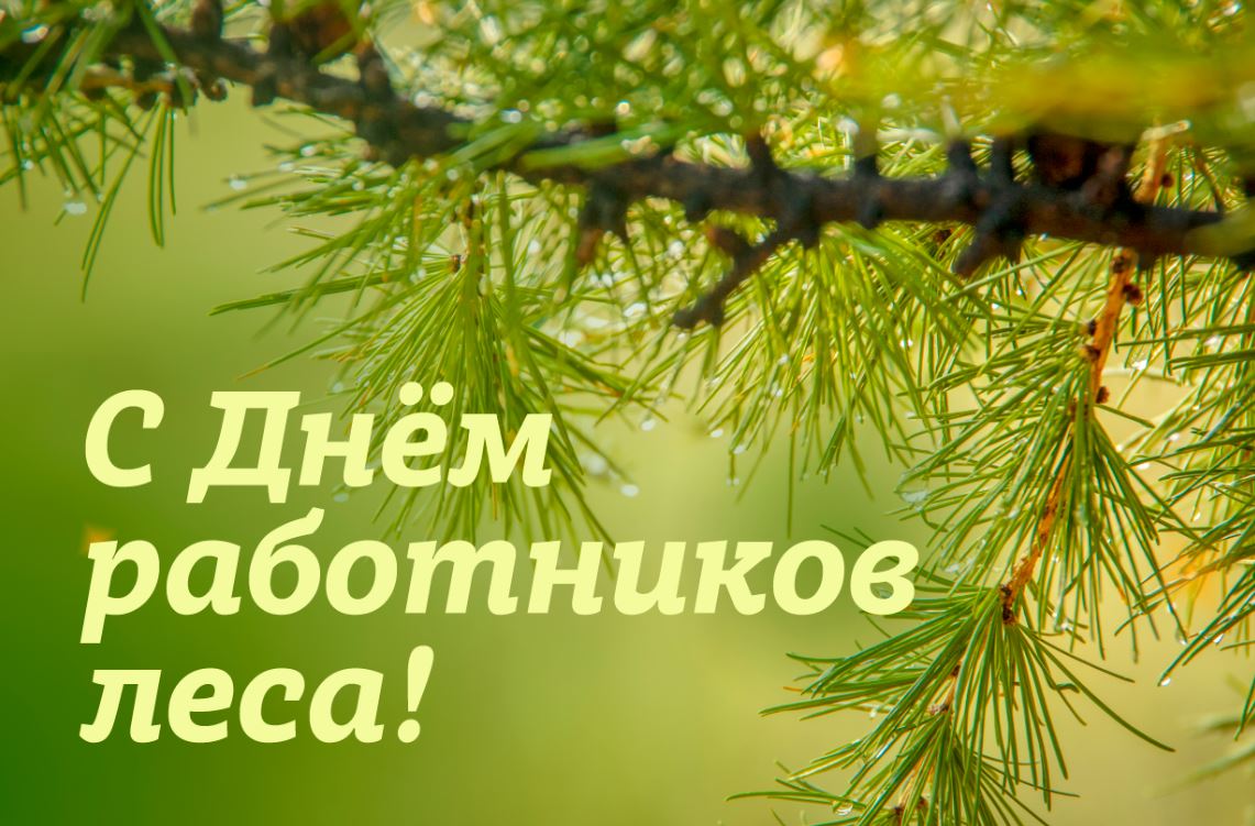 Поздравление Губернатора Кировской области Александра Соколова с Днем работников леса.